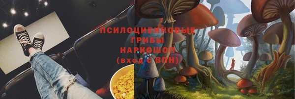 дмт Тобольск